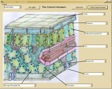leaf section screenshot